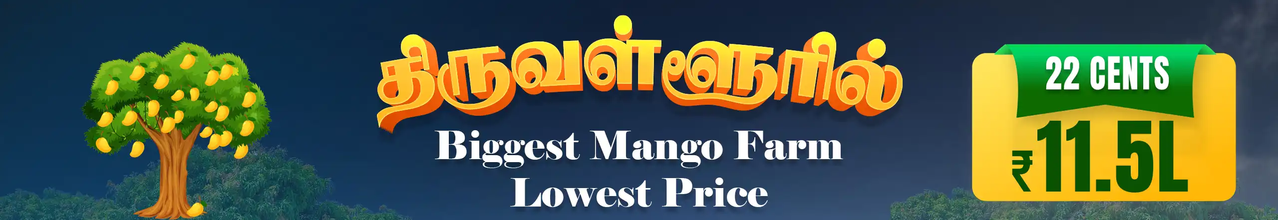 Mango Farm land for Sale