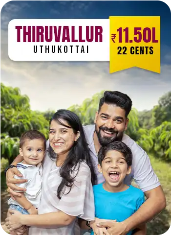 Sustainable Hydroponic Farming | Hydroponic Farm Setup